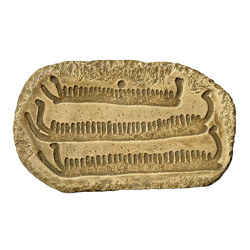 Vikinská loď
